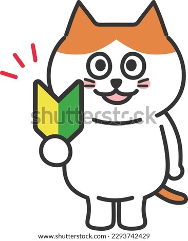 Orange tabby and white cat holding a Japanese beginner mark of driving