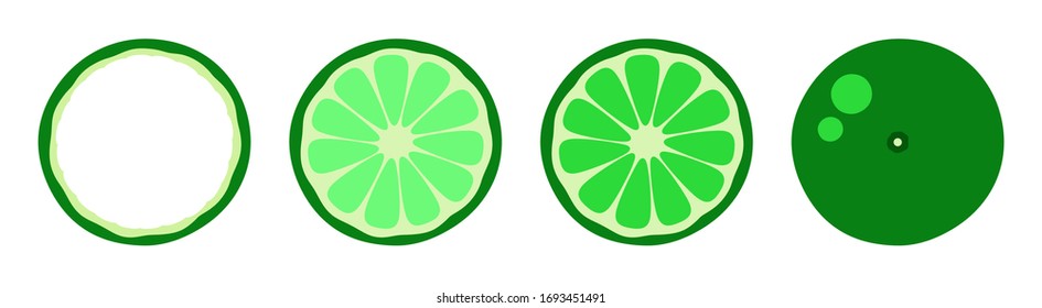 Orange tangerine grapefruit lemon lime on a white background. Vector illustration of summer fruits and citrus. Citrus icons silhouettes pictograms. Tropical fruit. Lime in parts. Slices of lime