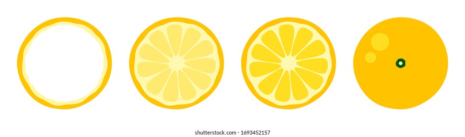 Orange tangerine grapefruit lemon lime on a white background. Vector illustration of summer fruits and citrus. Citrus icons silhouettes pictograms. Tropical fruit. The lemon in parts. Slice of lemon