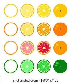 Orange tangerine grapefruit lemon lime on a white background. Vector illustration of summer fruits and citrus. Citrus icons are silhouettes of pictograms. Tropical fruits in parts and slices