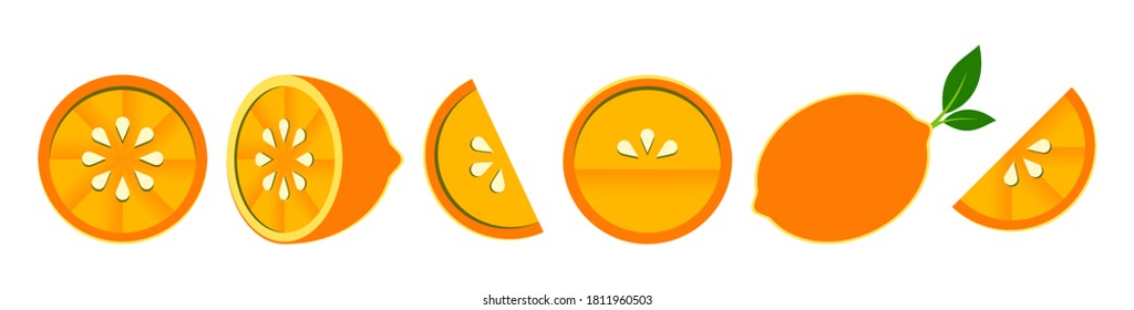 Orange tangerine grapefruit lemon lime on a white background. Vector illustration of summer fruits and citrus. Citrus icons silhouettes pictograms. Tropical fruit. Orange in parts. Orange slices
