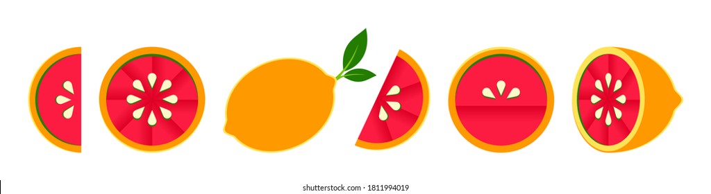 Orange tangerine grapefruit lemon lime on a white background. Vector illustration of summer fruits and citrus. Citrus icons are silhouettes of pictograms. Tropical fruit. Grapefruit parts, slices