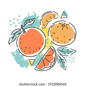 Orange and tangerine on an abstract background. Packaging design. Vector hand illustration.