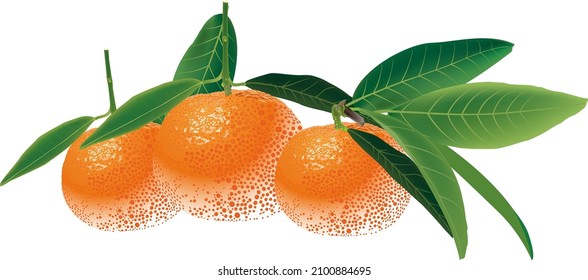 Tangerina naranja en el fondo.