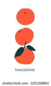 Orange tangerines. Flat vector illustration. Price tag, label, packaging and advertising poster of the product. Minimalistic, modern label. 
