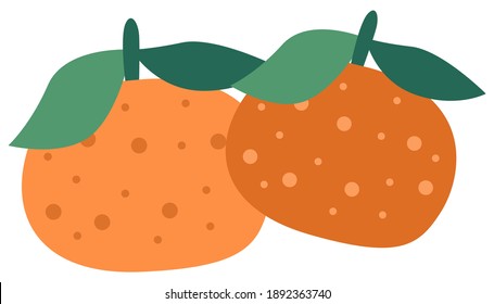 Orange tangerines with green leaves vector illustration. Sweet and sour citrus isolated on a white background. Tree fruit with dark speck. Mandarines plucked with a twig and leaves, grown in Greece