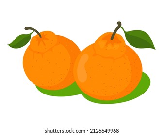 Orange tangerines with green leaves vector illustration. Sweet and sour citrus isolated on white background. Tree tropical organic fruit. Mandarines plucked with twig and leaves, vitamin food