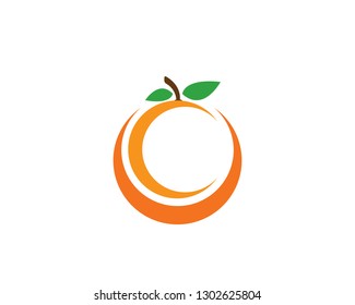 Orange Template Logo Design Vector Illustration Stock Vector (Royalty ...