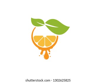 Orange template logo design. Vector illustration