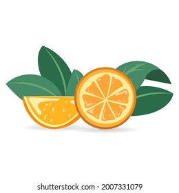 Naranja que se corta a la mitad y que tiene las hojas de un árbol anaranjado detrás de ella, símbolos vectoriales , EPS vectorial de ilustración 10