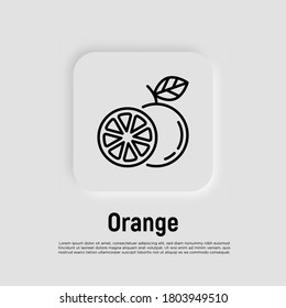 Orange thin line icon. Symbol for juice. Whole and half. Healthy organic food. Vector illustration.