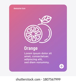 Orange thin line icon. Symbol for juice. Whole and half. Healthy organic food. Vector illustration.