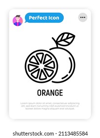 Orange thin line icon. Symbol for juice. Whole and half. Healthy organic food. Vector illustration.