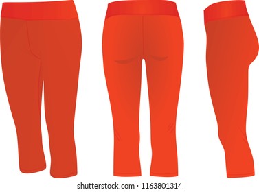 Orange three quarters pants.vector illustration 
