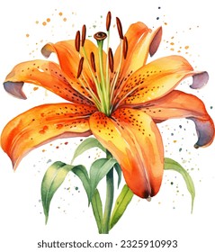 Orange Tiger Lily Watercolor illustration. Hand drawn underwater element design. Artistic vector marine design element. Illustration for greeting cards, printing and other design projects.