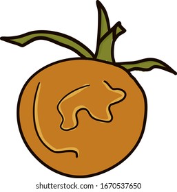 Orange tomato drawing, illustration, vector on white background.