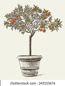 Orange Tree Sketch Images Stock Photos Vectors Shutterstock