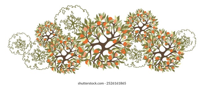 Orange Tree para plantas baixas arquitetônicas. Elemento da vista superior. Entourage design para o plano de projeto de paisagem. Ilustração vetorial.