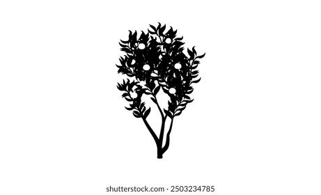 Orange Tree, black isolated silhouette