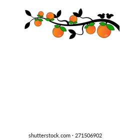 orange tree branch