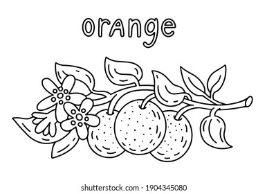 orange tree coloring pages