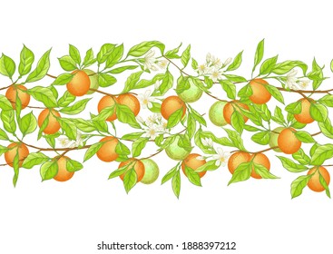 Orange Tree Branch With Fruits, Flowers And Leaves. Seamless Pattern, Background. Colored Vector Illustration. Isolated On White Background..