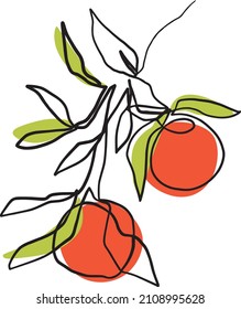 Orangenbaum Zweig handgezeichnet Illustration.