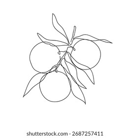 Orange tree branch. Modern single line art drawing. Continuous line drawing. Outline draw design vector illustration.