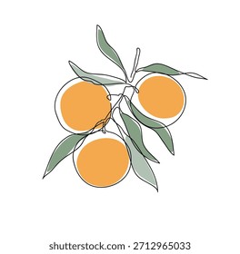 Rama de naranjo. Dibujo moderno de arte de una sola línea. Dibujo de línea continua. Ilustración vectorial de color de diseño de dibujo de esquema.