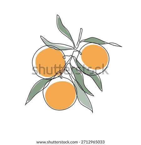 Orange tree branch. Modern single line art drawing. Continuous line drawing. Outline draw design color vector illustration.