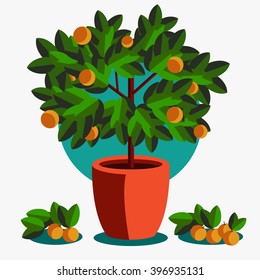 Orange tree in a flowerpot on white background