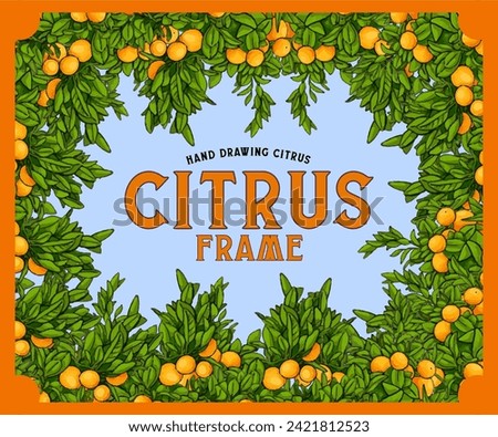 Orange tree frame. Hand drawn orange tree frame illustration.