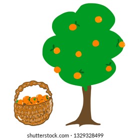 Orange tree with fruit basket. Gardening, agriculture, crop. Nature colorful sketch for web, design, cover, stickers, banners, advertising. Flat illustration. Seasonal picture, summertime, harvest