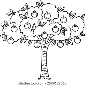 Orange Tree Fruit Plant Isolated Coloring Page 