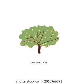 orange tree  with fruits  flat rawing vector illustration