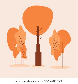 orange tree for garden illustration