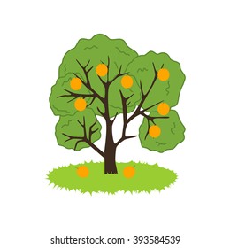 Orange Tree Icon on the white background. Vector illustration