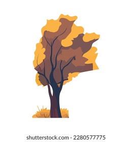 ilustración de árbol anaranjado sobre blanco