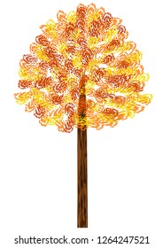 Orange tree isolated