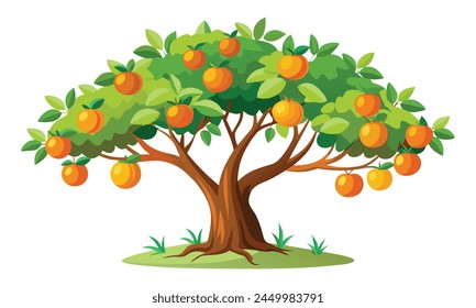 Orange tree isolated flat vector illustration on white background.