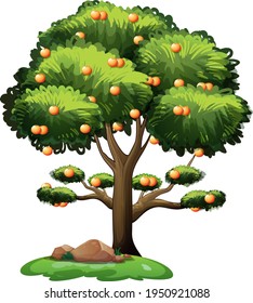 Orange tree isolated on white background illustration