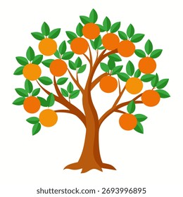 Orangenbaum. Isolierte Vektorgrafik auf weißem Hintergrund