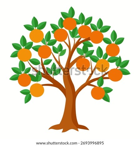 Orange tree. Isolated vector illustration on white background