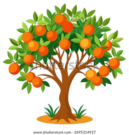 Orange tree. Isolated vector illustration on white background