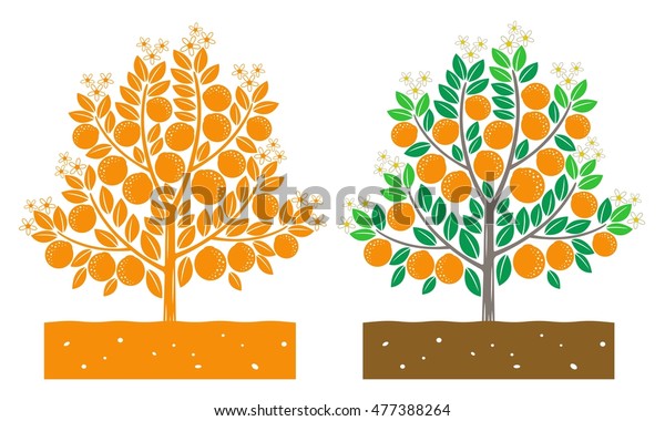 Orange Tree Leaves Product Stock Vector (Royalty Free) 477388264 ...