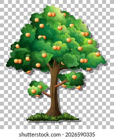 Orange tree on transparent background illustration