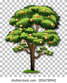 Orange tree on transparent background illustration
