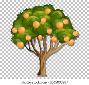 Árbol naranja en ilustración de fondo transparente