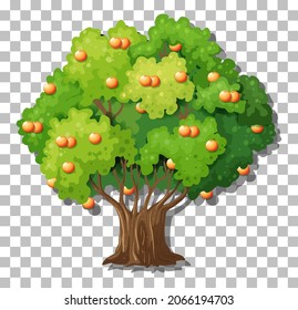 Orange tree on transparent background illustration