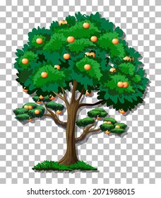 Orange tree on transparent background illustration